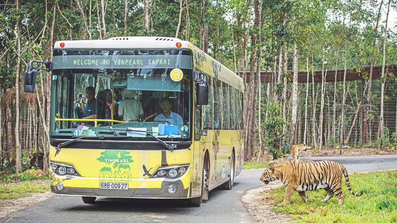 vin oasis phu quoc 5