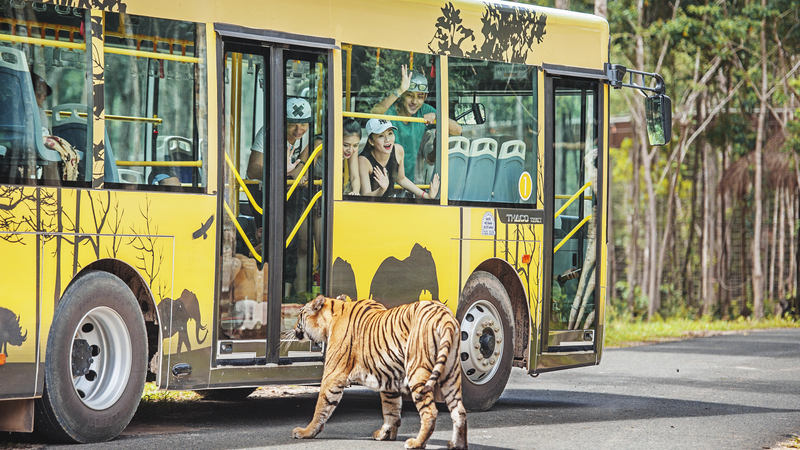 vin oasis phu quoc 6