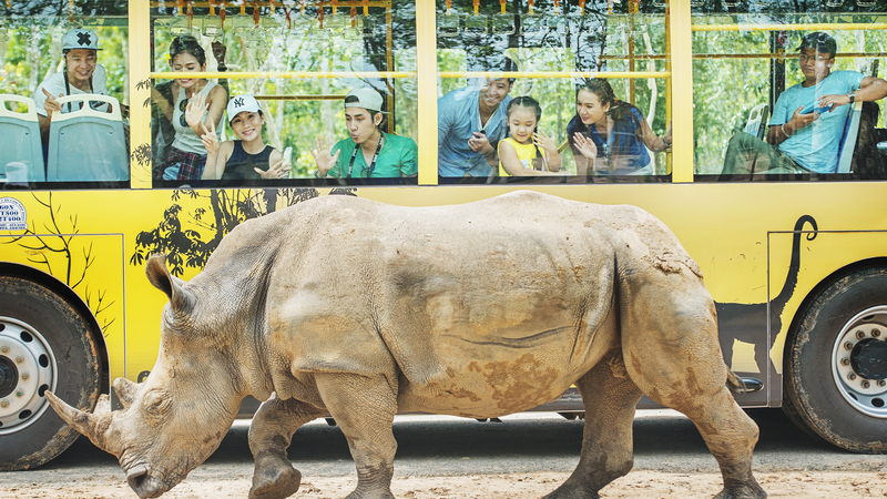 vin oasis phu quoc 8