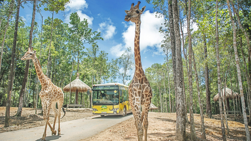 vin oasis phu quoc 9